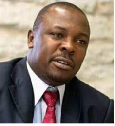 John Wagesa Heche, Vice Chair, Chadema Party