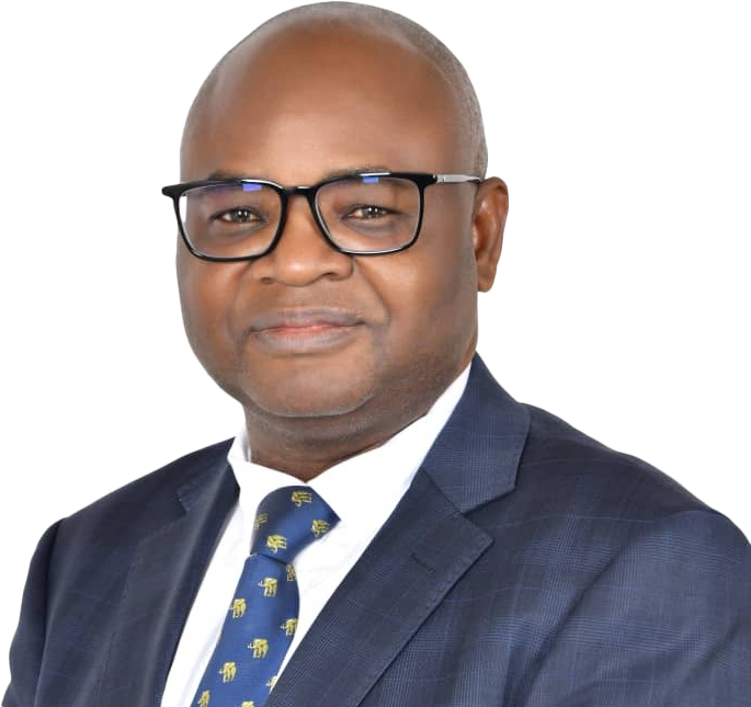 Politician and Academic Professor, Hon. Kitila Mkumbo